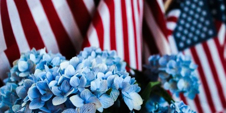 Join the Showcase Flags Photo Contest and win Vanguard Backpack ...